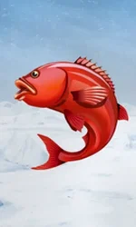 Ice Fishing